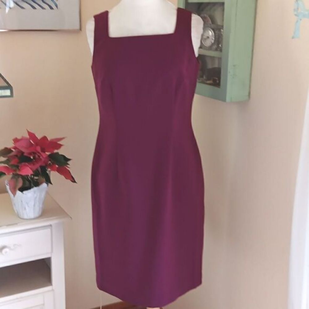 NWOT Cynthia Taylor Sheath